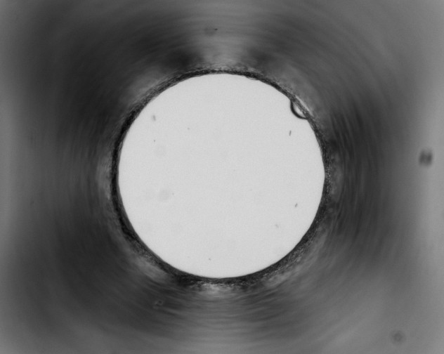 X0000103910442200810311436