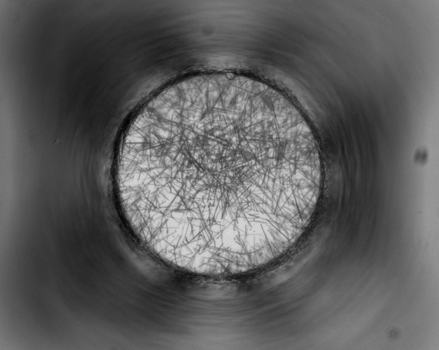 X0000103910443200810311436