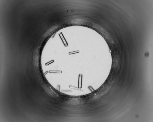 X0000103910446200810311436