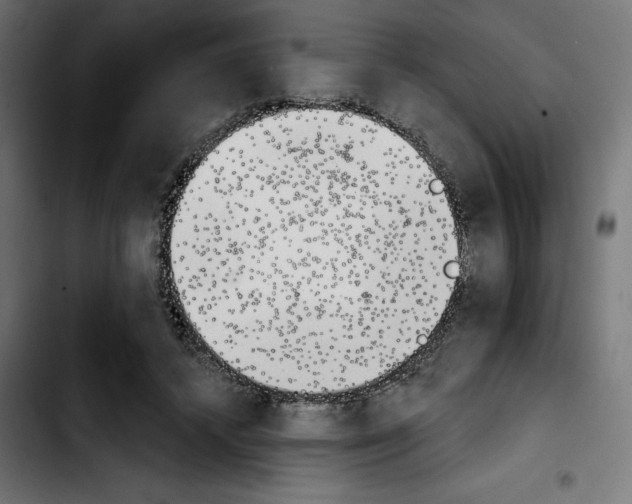 X0000103910448200810311436