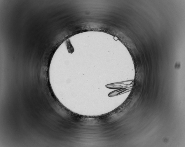 X0000103910449200810311436