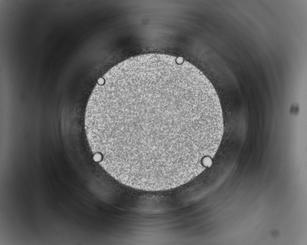 X0000103910452200810311436