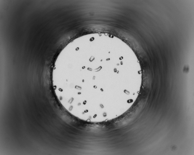 X0000103910453200810311436