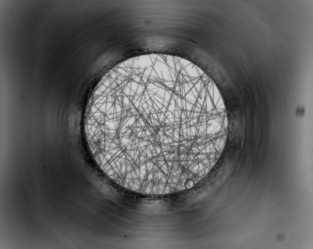 X0000103910454200810311436