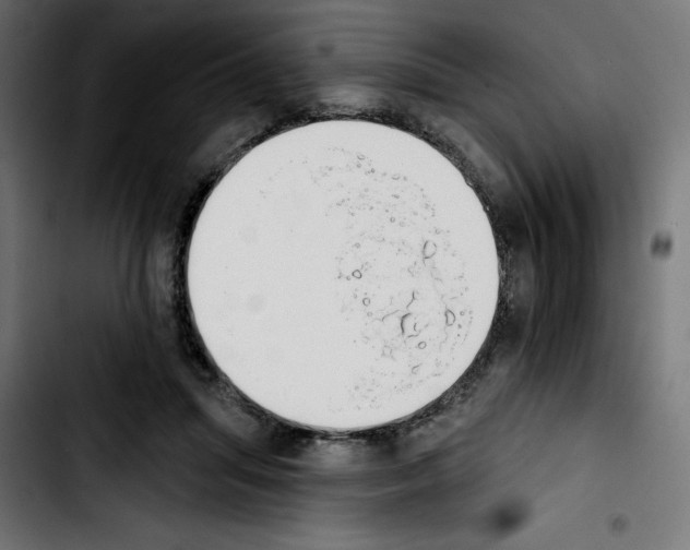 X0000103910455200810311436