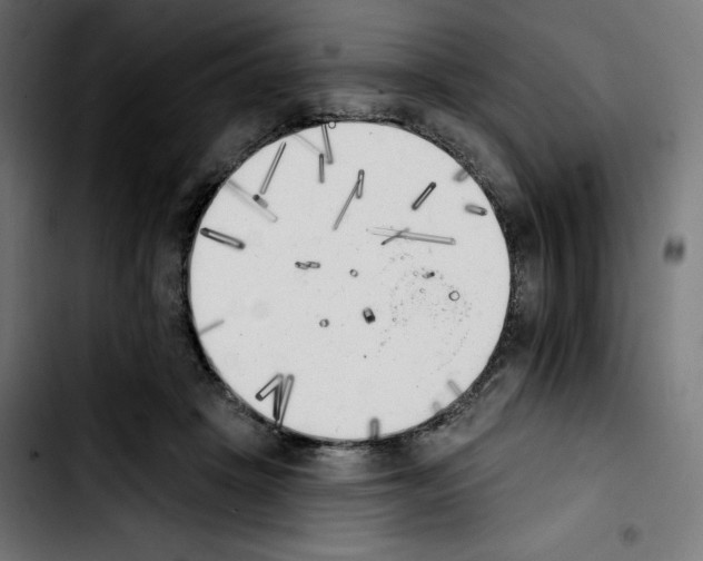 X0000103910457200810311436
