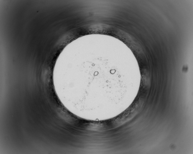 X0000103910458200810311436