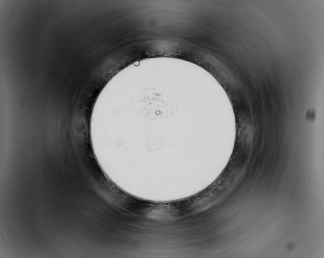 X0000103910459200810311436