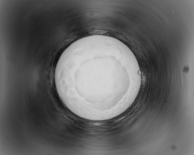X0000103910460200810311436