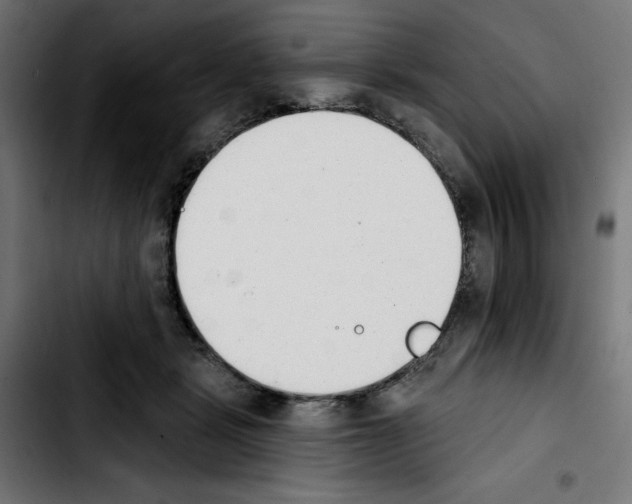 X0000103910461200810311436