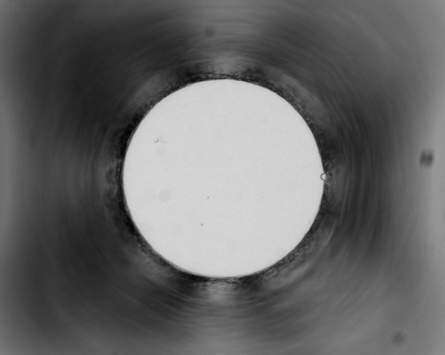 X0000103910462200810311436