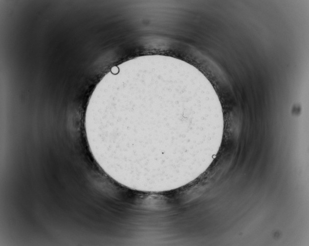 X0000103910463200810311436