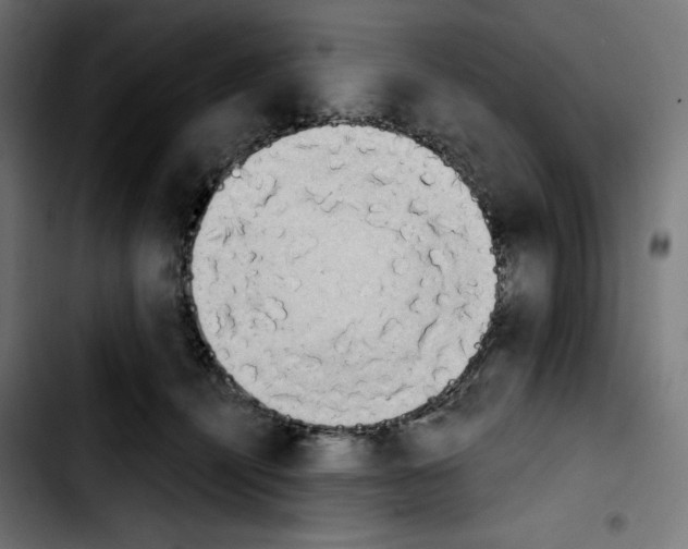 X0000103910464200810311436