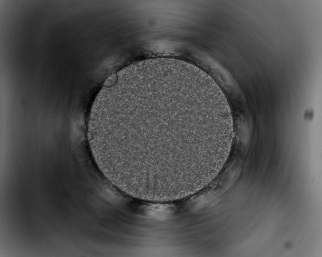 X0000103910465200810311436