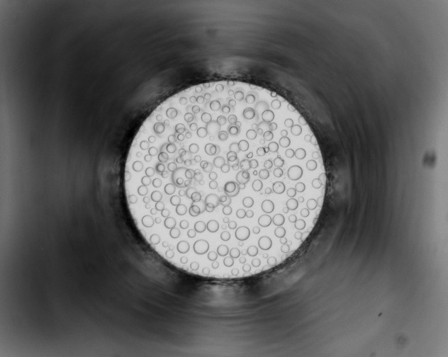 X0000103910466200810311436