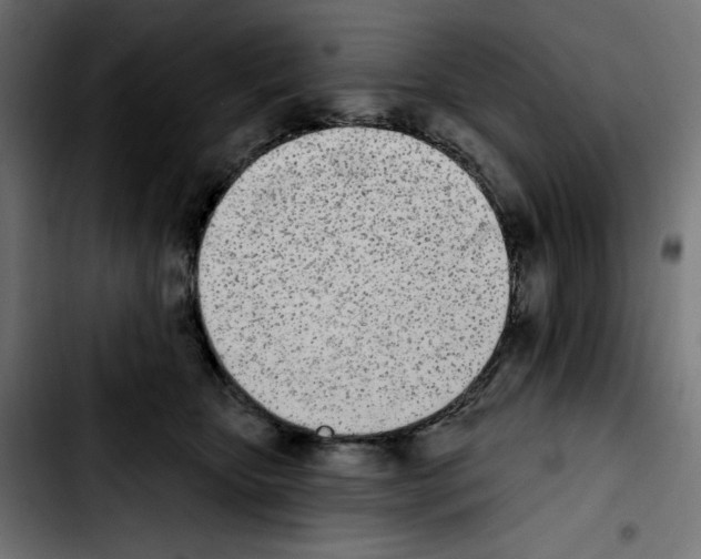 X0000103910467200810311436