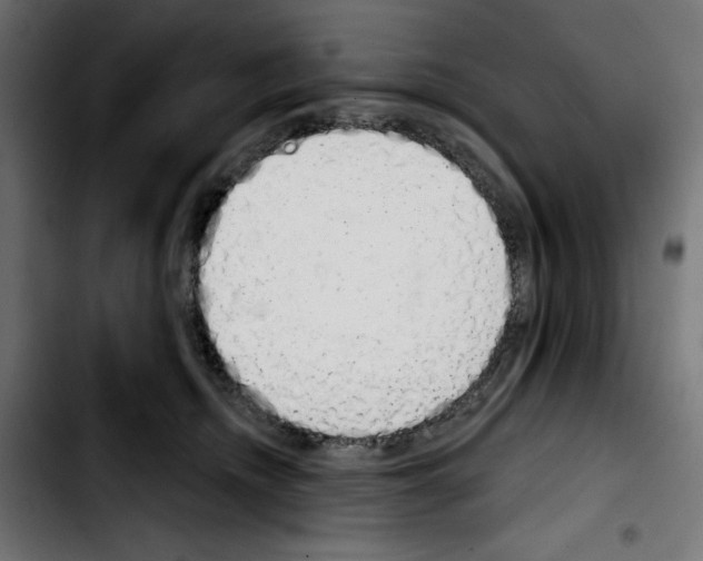 X0000103910468200810311436