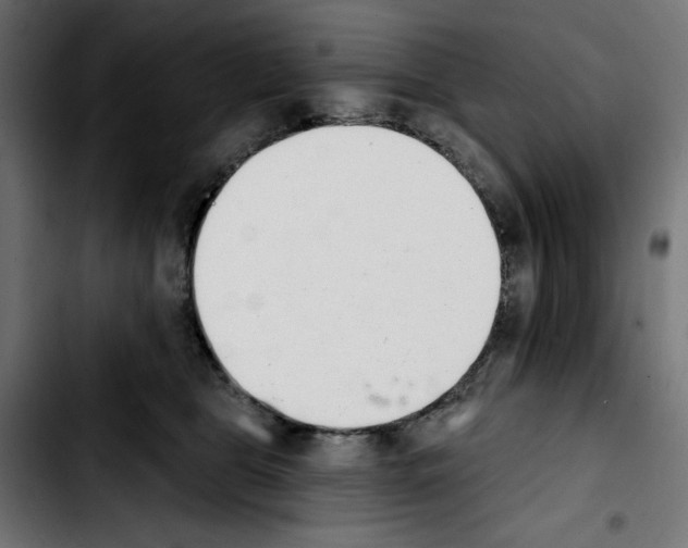 X0000103910469200810311436