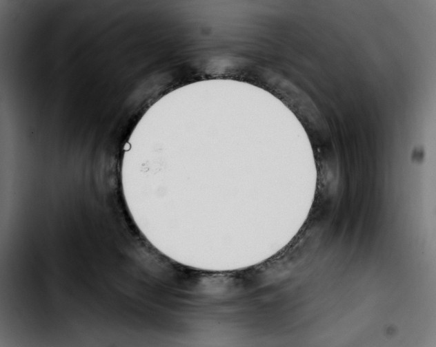 X0000103910470200810311436