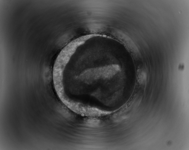 X0000103910471200810311436