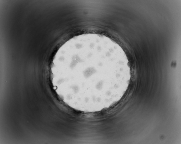 X0000103910472200810311436