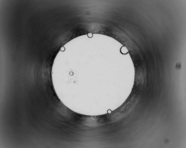 X0000103910473200810311436