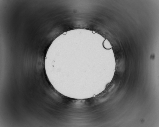 X0000103910474200810311436