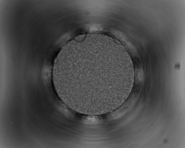 X0000103910475200810311436