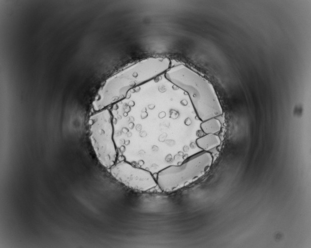 X0000103910476200810311436