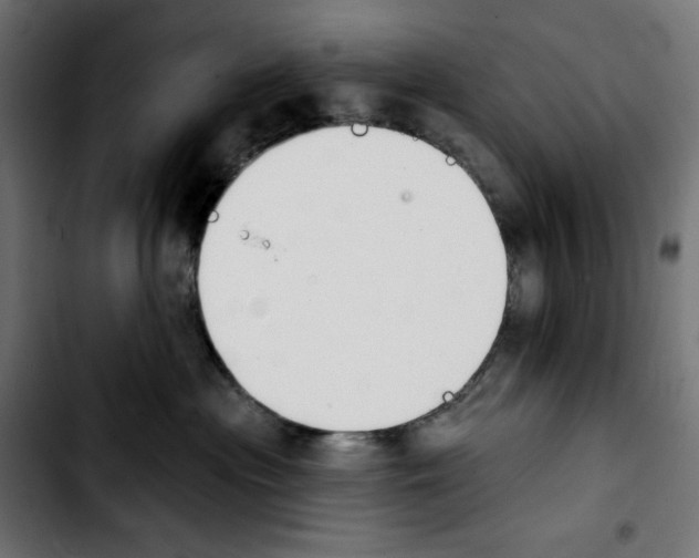 X0000103910477200810311436