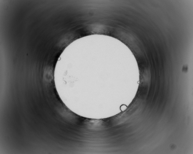 X0000103910478200810311436