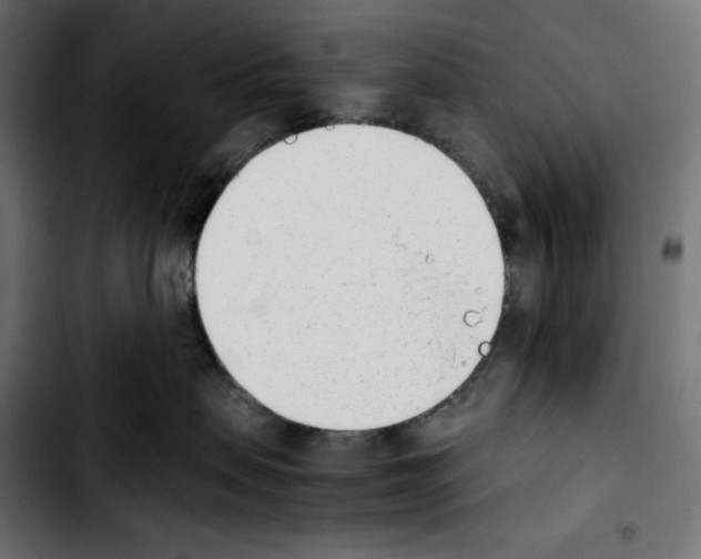 X0000103910479200810311436