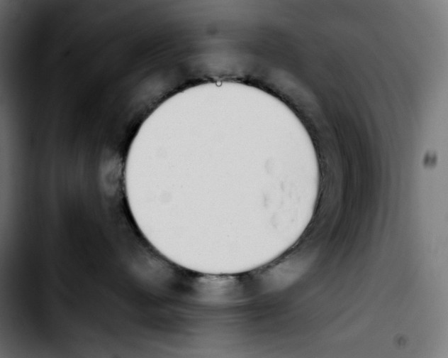 X0000103910480200810311436