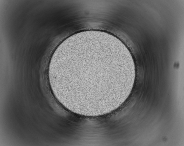 X0000103910481200810311436