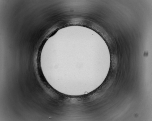 X0000103910482200810311436