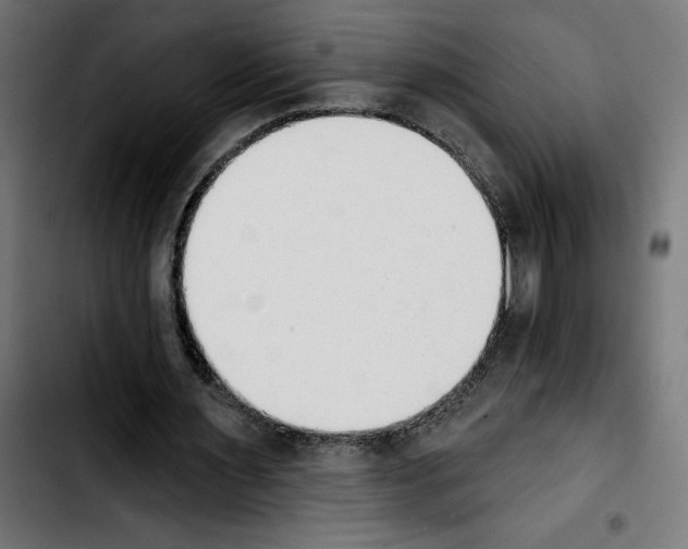 X0000103910483200810311436