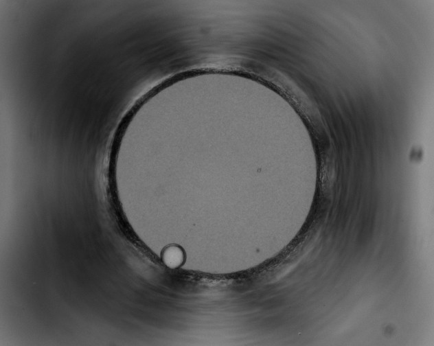 X0000103910484200810311436