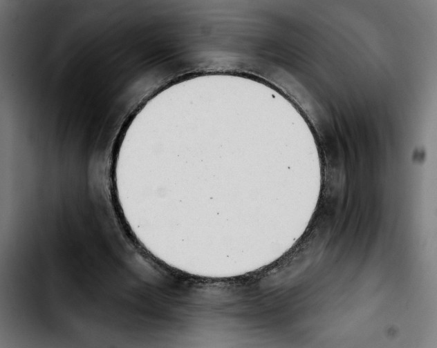 X0000103910485200810311436