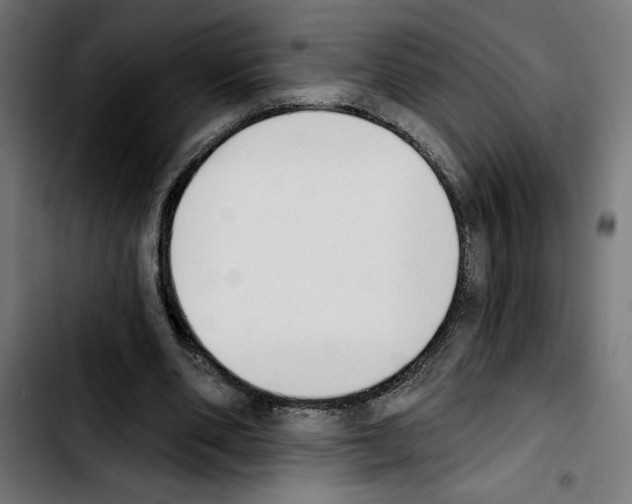 X0000103910486200810311436