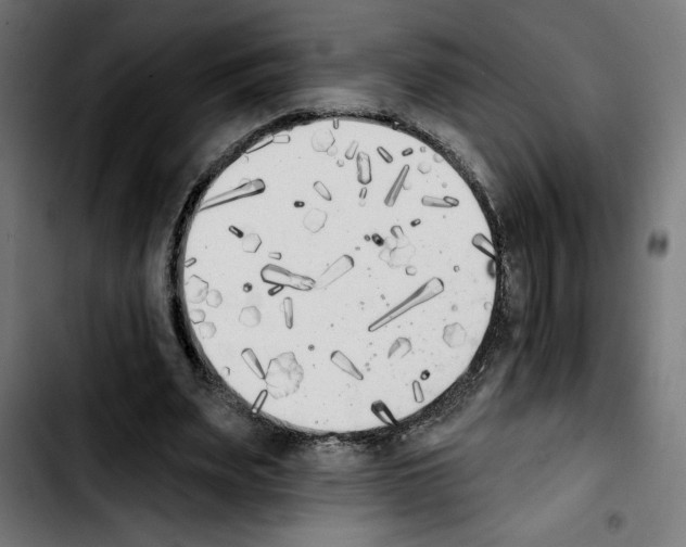 X0000103910487200810311436
