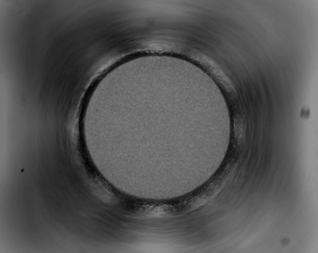 X0000103910488200810311435