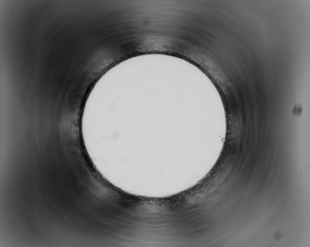 X0000103910489200810311435