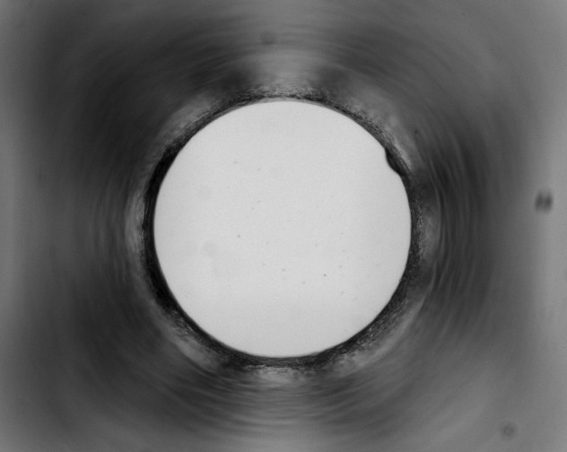X0000103910490200810311435