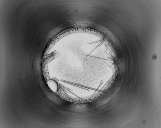 X0000103910491200810311435