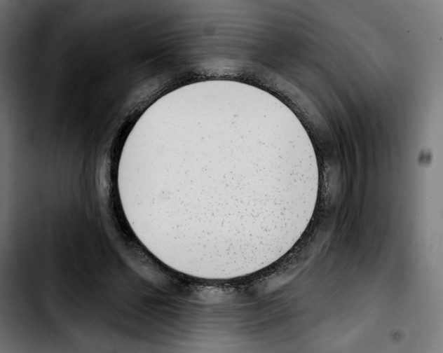 X0000103910494200810311435