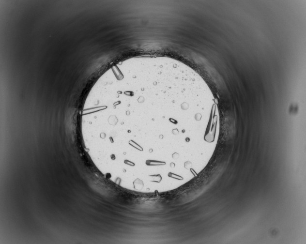 X0000103910495200810311435