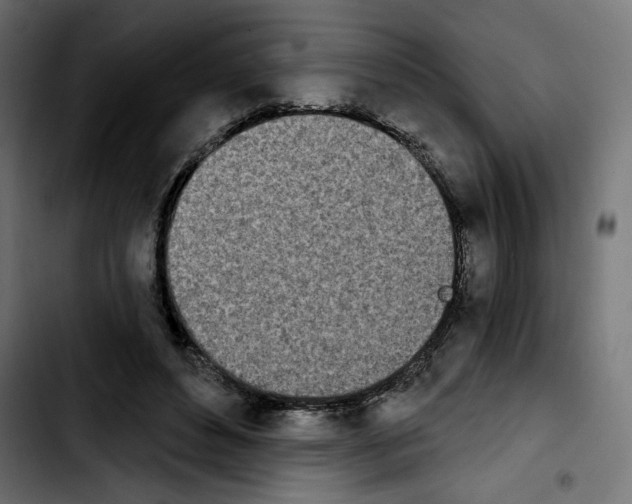 X0000103910496200810311435
