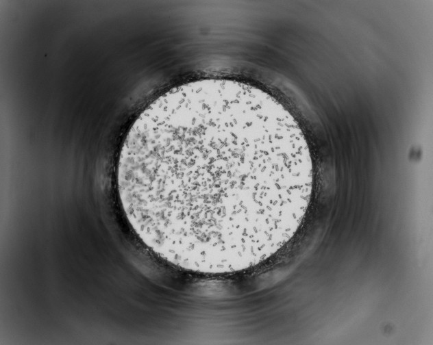 X0000103910499200810311435