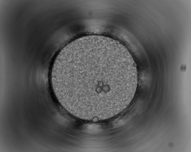 X0000103910500200810311435