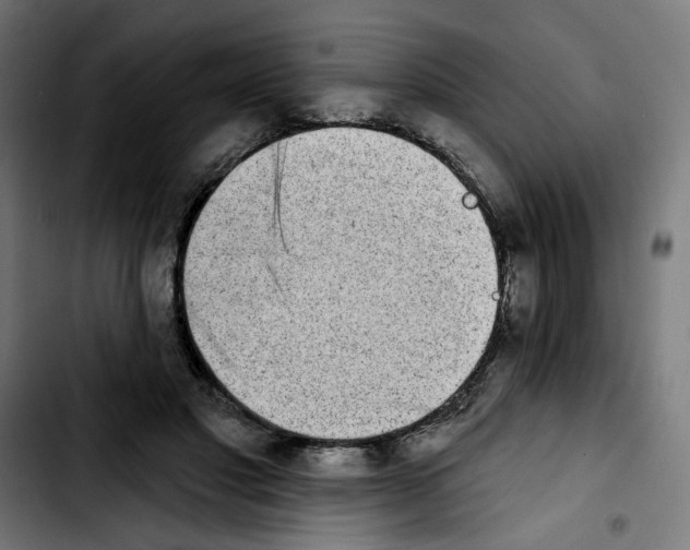 X0000103910501200810311435